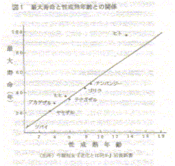 hiroiz01.gif