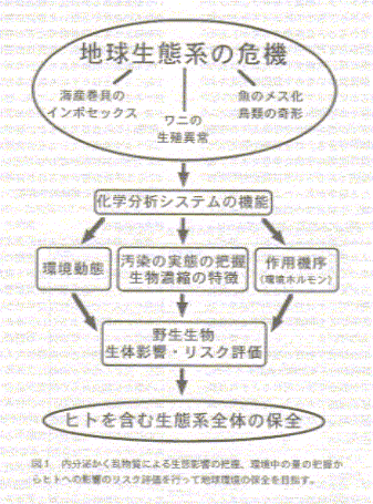 iguchiz01.gif